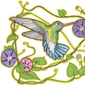 Hummingbirds and Morning Glories