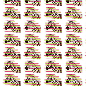 Zebra_stripes_3_4_16