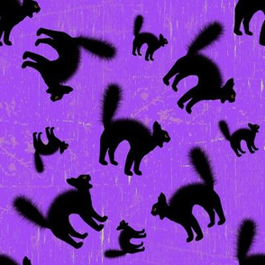 Scared Black Cat Purple Halloween