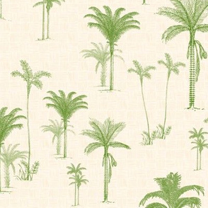 Pretty Palms
