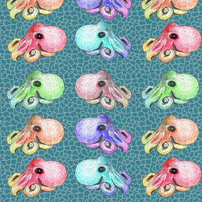 My_Little_Octopus_1