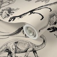 Vintage Museum Skeletons | Dinosaurs on Cream