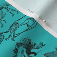 Vintage Museum Skeletons | Dinosaurs on Teal Green