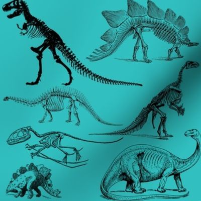 Vintage Museum Skeletons | Dinosaurs on Teal Green