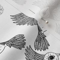 Flying Birds Outline