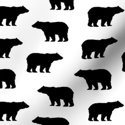 Black Bears