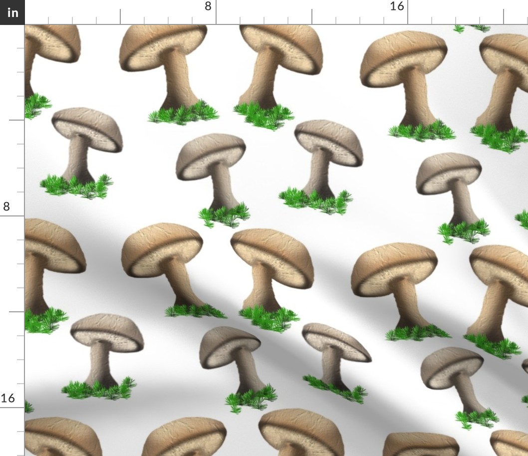 mushrooms_and_grass