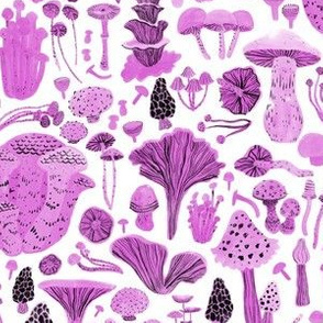 Mushroom bounty in pink