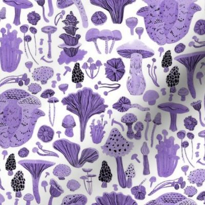 Mushroom bounty in purple