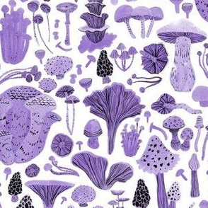 Mushroom bounty in purple