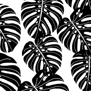 monstera // extra large monstera tropical leaves 