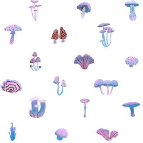 petite watercolor 'shrooms in cotton candy