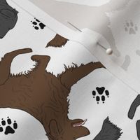 Trotting Flat coated Retrievers and paw prints - white