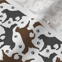 Tiny Trotting Flat coated Retrievers and paw prints - white