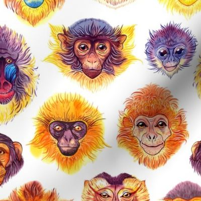 Watercolor monkeys