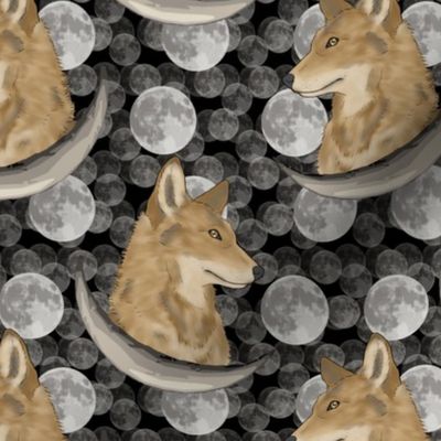 Coyote in moon portraits