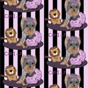 Yorkshire terrier -Yorkie - Lila loves Lilac & Lions