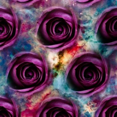Galaxy Roses