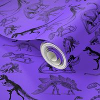 Vintage Museum Skeletons | Dinosaurs on Lavender