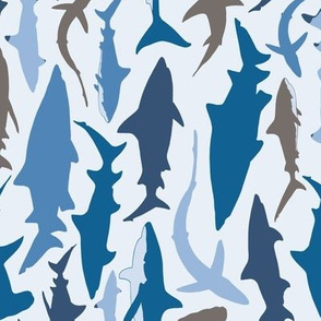 Swimming with Sharks in Blue and Grey