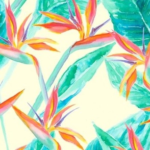 Birds of Paradise Cream Large Scale