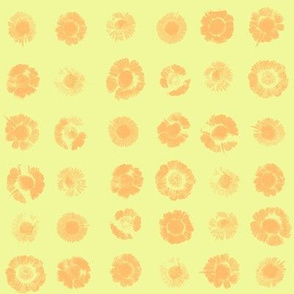 orange daisies on Hawaiian pale gold