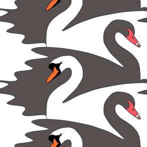 Tesselated Swans