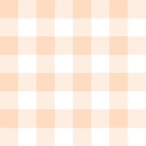 1" pale peach and white gingham check 