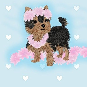 Yorkie - Baby Sav Luau ready