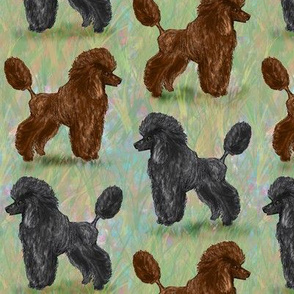 Custom Chocolate Brown and Black Poodle on Pastels