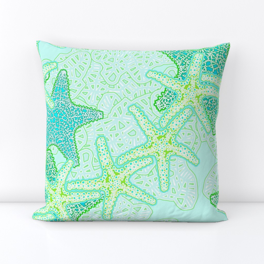 Starfish and Coral