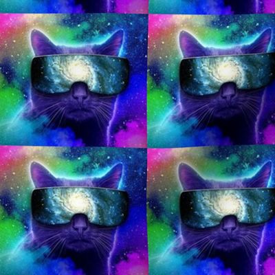 Kitty dimension