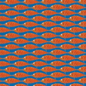 Fish orange sea