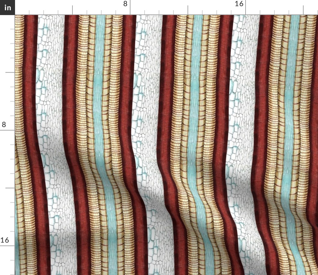 Cell Walls