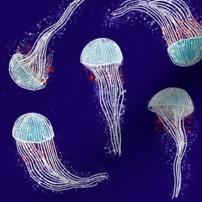 jellyfish