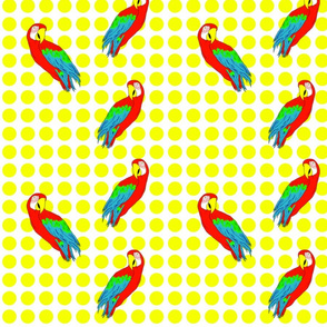 parrots_and_dots