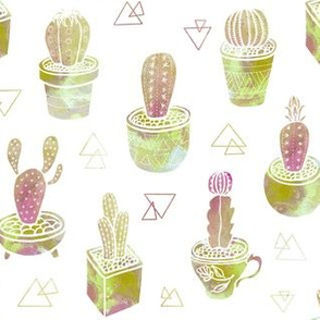 golden  cactus garden