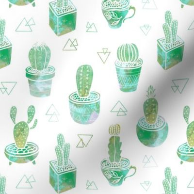 green  cactus garden