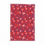 X Marks the Spot-Independence Day-Bright Red-Red White and Blue Primitive Stars