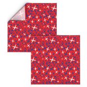X Marks the Spot-Independence Day-Bright Red-Red White and Blue Primitive Stars
