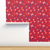 X Marks the Spot-Independence Day-Bright Red-Red White and Blue Primitive Stars