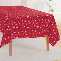 X Marks the Spot-Independence Day-Bright Red-Red White and Blue Primitive Stars