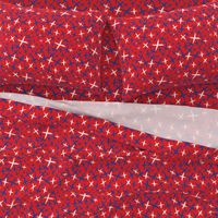 X Marks the Spot-Independence Day-Bright Red-Red White and Blue Primitive Stars