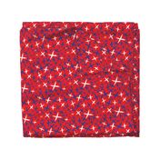 X Marks the Spot-Independence Day-Bright Red-Red White and Blue Primitive Stars