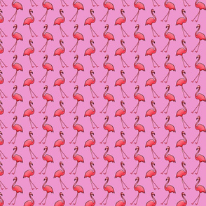 FlamingoTilePink