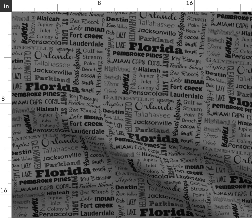 Cities of Florida, dark gray
