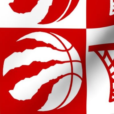 Toronto Raptors Basketball