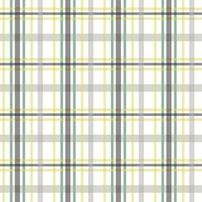 Veggies Modern PLAID green.gray