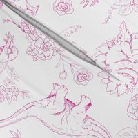 Dinosuar Toile Hot Pink 