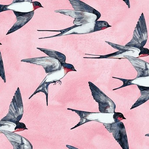 Pink Sky Swallow Flight - large version